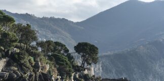 Ile Ile kosztuje smartwatch?