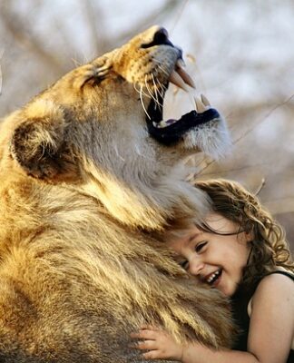 Jaki telefon jest lepszy Oppo czy Xiaomi?